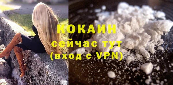 mix Бородино
