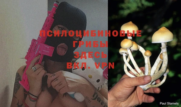mix Бородино