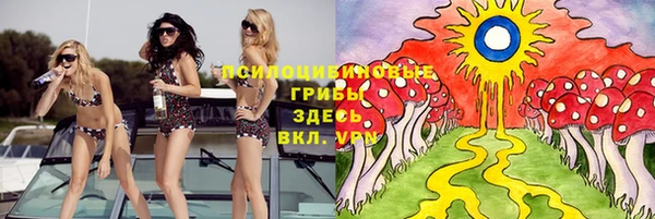 стаф Богородск