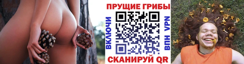 кракен ССЫЛКА  Кирово-Чепецк  Псилоцибиновые грибы MAGIC MUSHROOMS 
